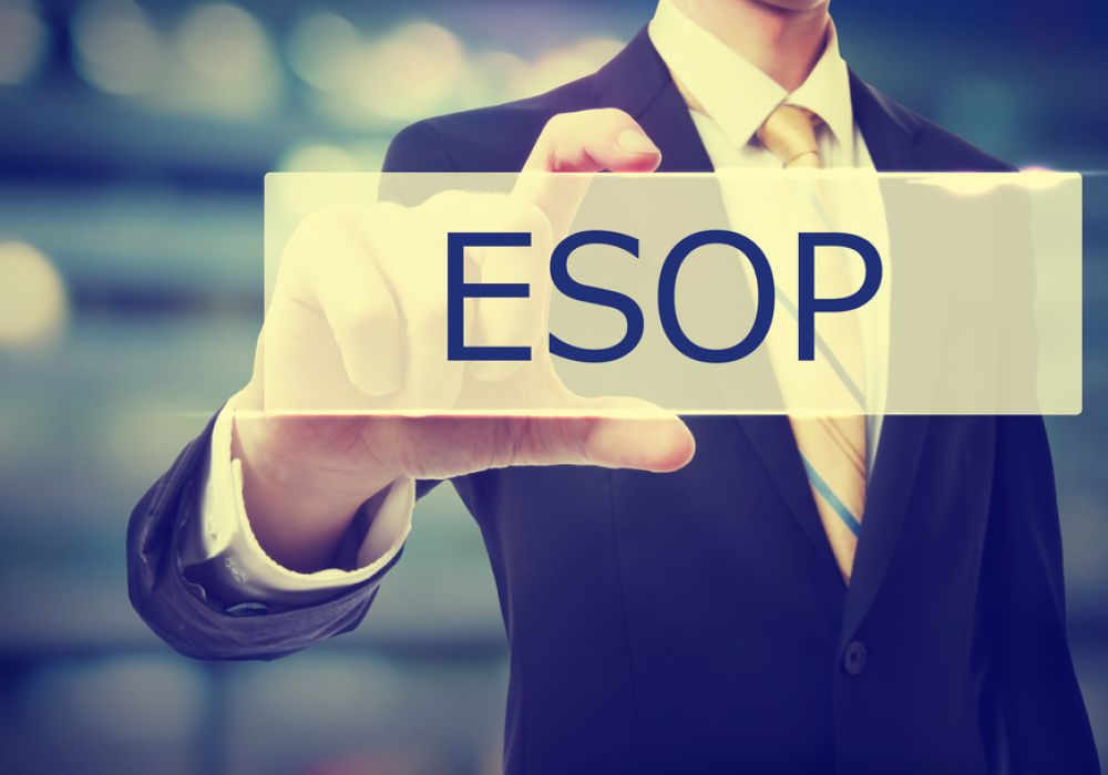flipkart-esop-esop repurchase plan-flipkart employees