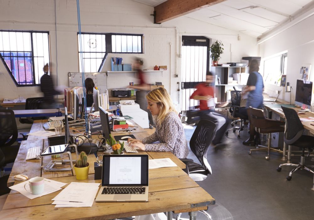 Startup 101-traditional jobs