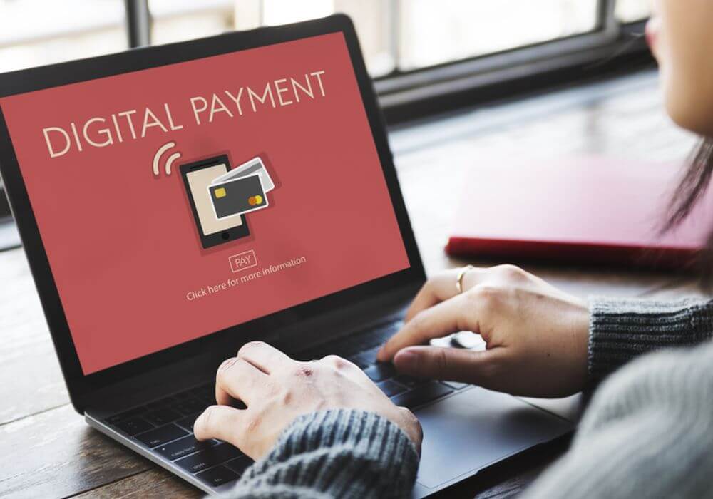 digital payment-payments-parliamentary panel