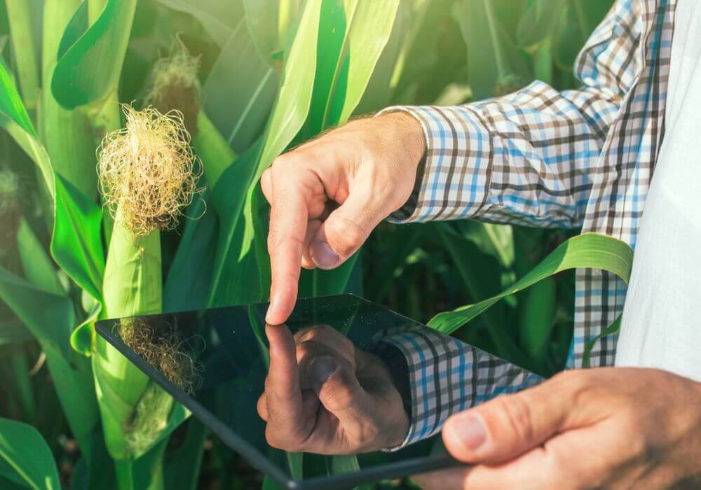 Agricx Lab, an agritech startup that uses smartphone imaging to assess the quality of agricultural produce, has raised Seed funding to the tune of $500K led by India-focussed VC fund Ankur Capital.