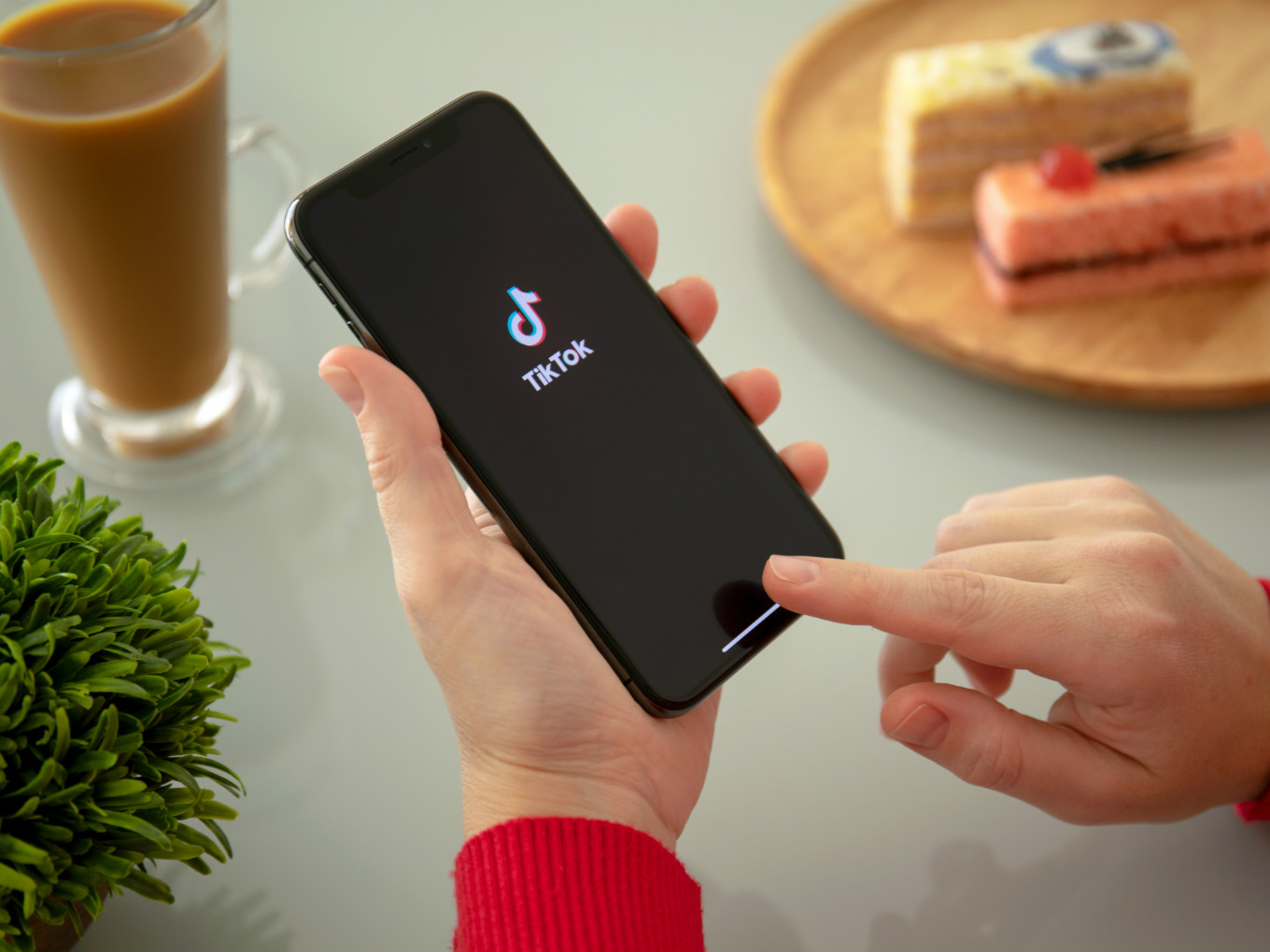 Tamil Nadu Govt Planning To Ban TikTok To Stop Spread Of Harmful Content