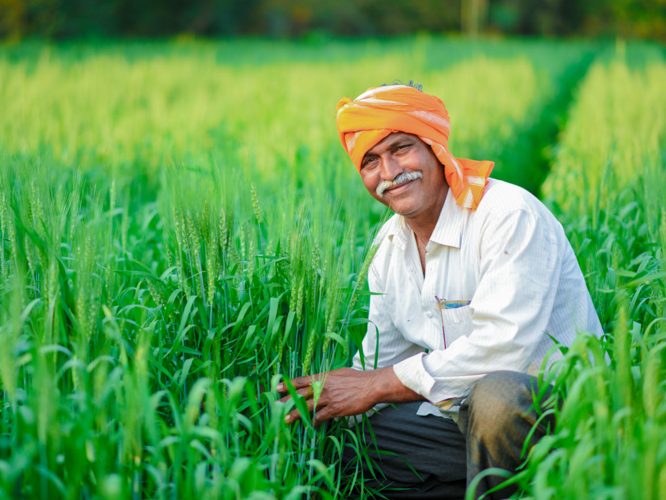Funding: Agritech Startup Gramophone Raises $3.5 Mn From Info Edge, Others
