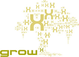 GrowX Venture Management