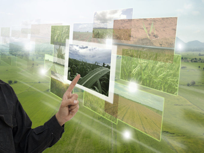Indian Government May Soon Set Up A Dedicated Cell For Agritech Startups
