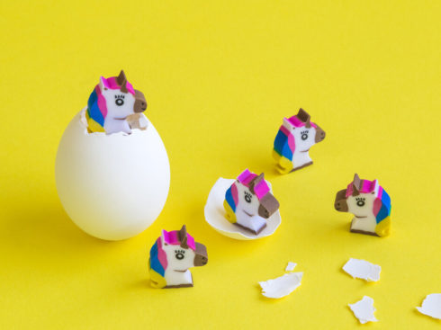 Startups Taking The Leap: A Closer Look At India’s Soonicorn Club