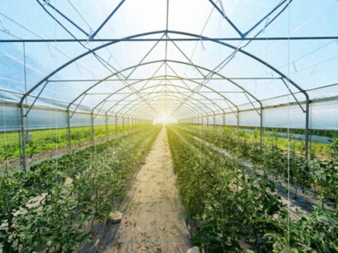 Agritech Startup Clover Bags $5.5 Mn Series A Funding To Tap New Cities