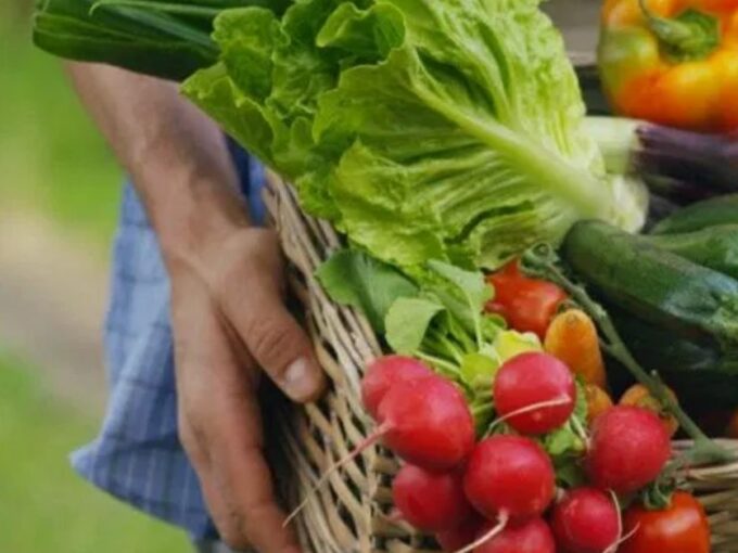 Not A Business Opportunity, Says Ninjacart On Grocery Deliveries To Housing Societies