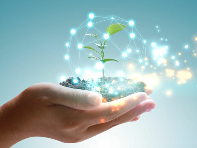 WWF Report Highlights Lack Of Policy Support For Startups, SMEs