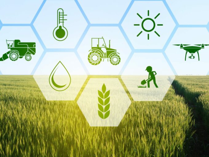 Indian Council For Agricultural Research Sets Up New Centre To Leverage AI