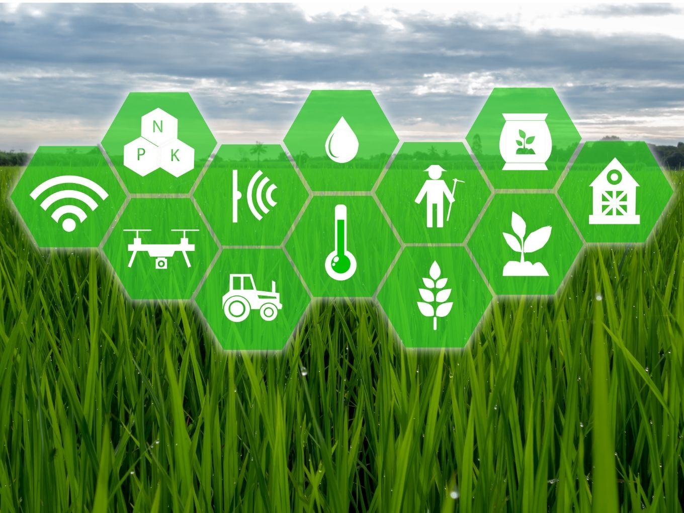 Agritech Startups On The New Models, Opportunities In The Wake Of The Farm Reform Bills