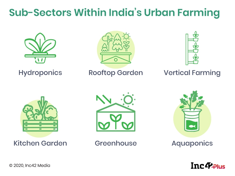 Urban Farming: Will Next-gen Agritech Put Down Roots?