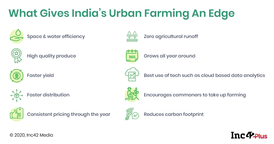Urban Farming: Will Next-gen Agritech Put Down Roots?
