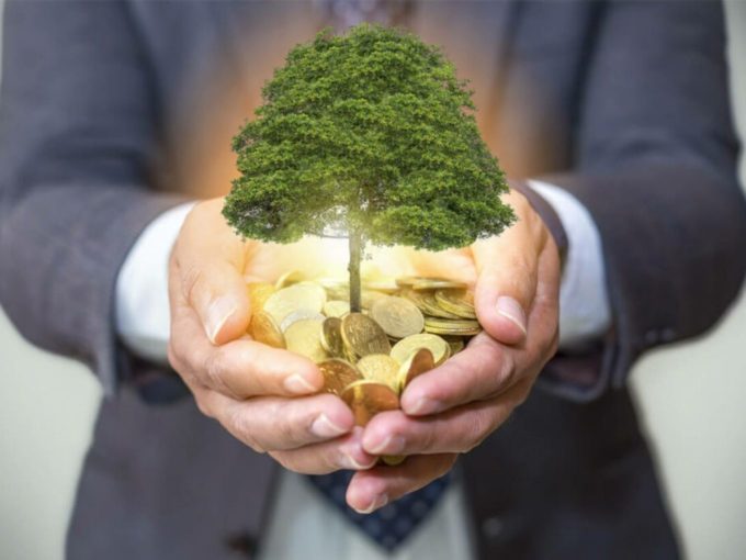 GoMassive Earth Network Launches Climate Angels To Reduce Pollution