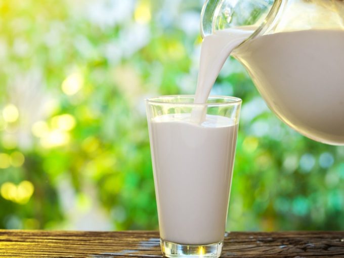 Milktech Startup Country Delight