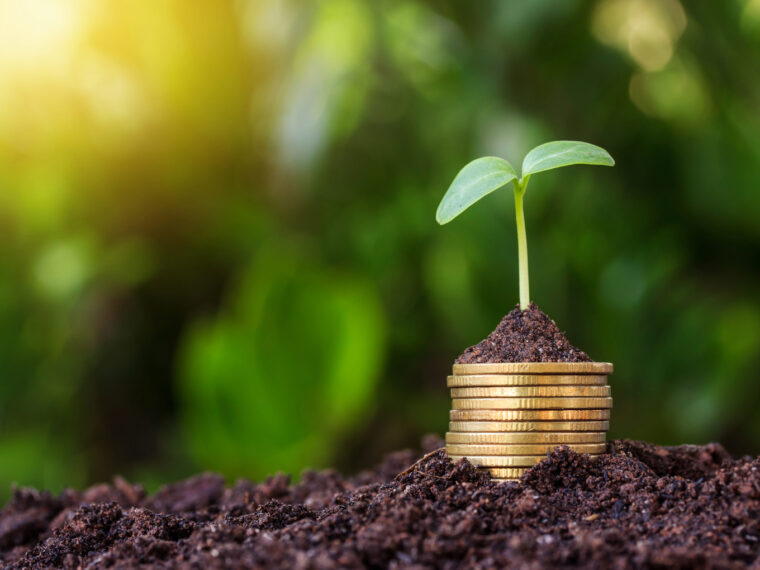 Unlocking Opportunities for Indian Startups: The Startup India Seed Fund Scheme